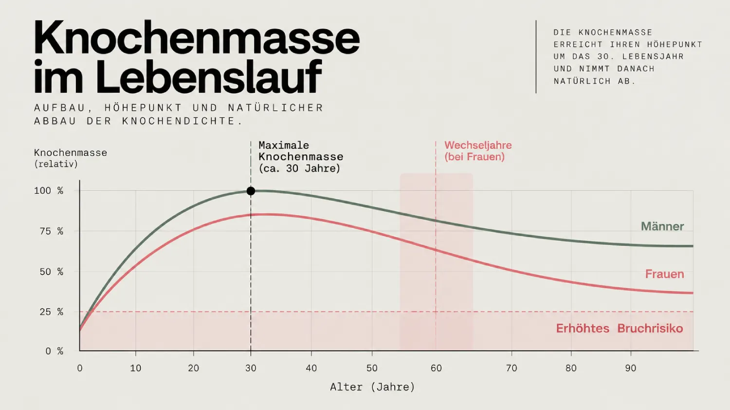 Knochenmasse im Lebenslauf