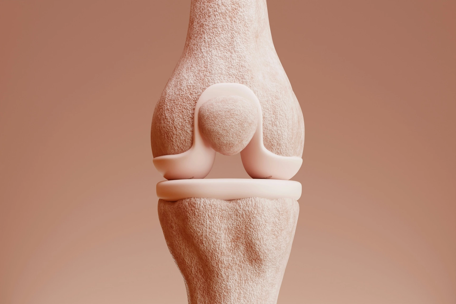 Osteoporose- Darstellung eines Gelenks zur Veranschaulichung von Osteoporose